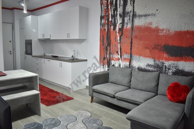 Apartamento de dois quartos para alugar na área 21 dhjetori em Tirana, albânia (3)
