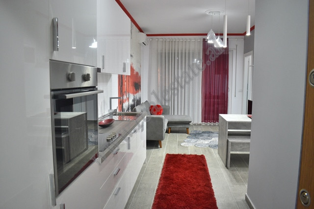 Apartamento de dois quartos para alugar na área 21 dhjetori em Tirana, albânia (4)