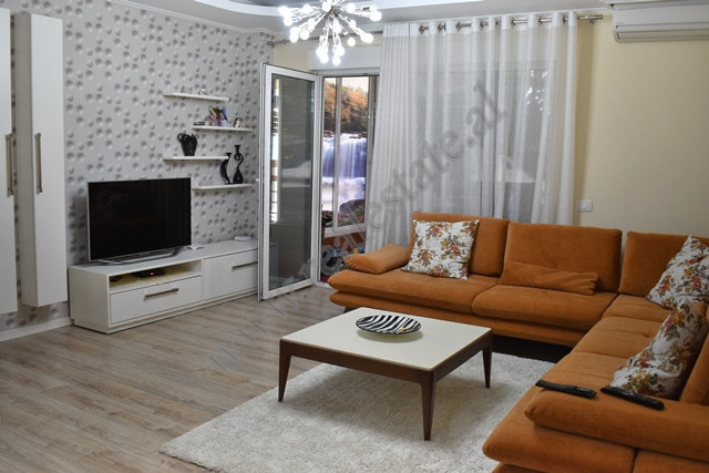 Apartamento de dos habitaciones en venta cerca del lago artificial en Tirana, albania (2)