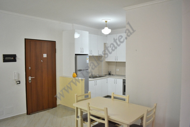 Two bedroom apartment for rent in liqeni i thate area in Tirana, albania (4)