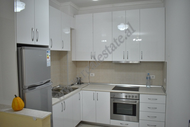 Two bedroom apartment for rent in liqeni i thate area in Tirana, albania (5)