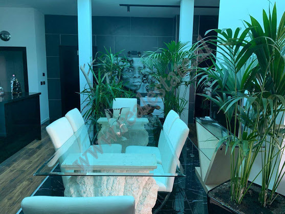 Appartement de luxe de deux chambres à vendre au centre de Tirana, albanie (7)
