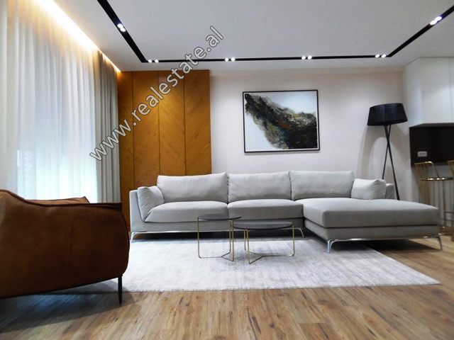 Apartament luksoz me dy dhoma gjumi për qira pranë liqenit artificial në Tiranë, shqipëri (trr-419-17l)