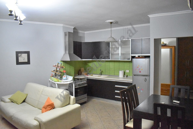 Appartement de deux chambres à louer près de la rue barrikadave à Tirana, albanie (trr-518-68d) (4)