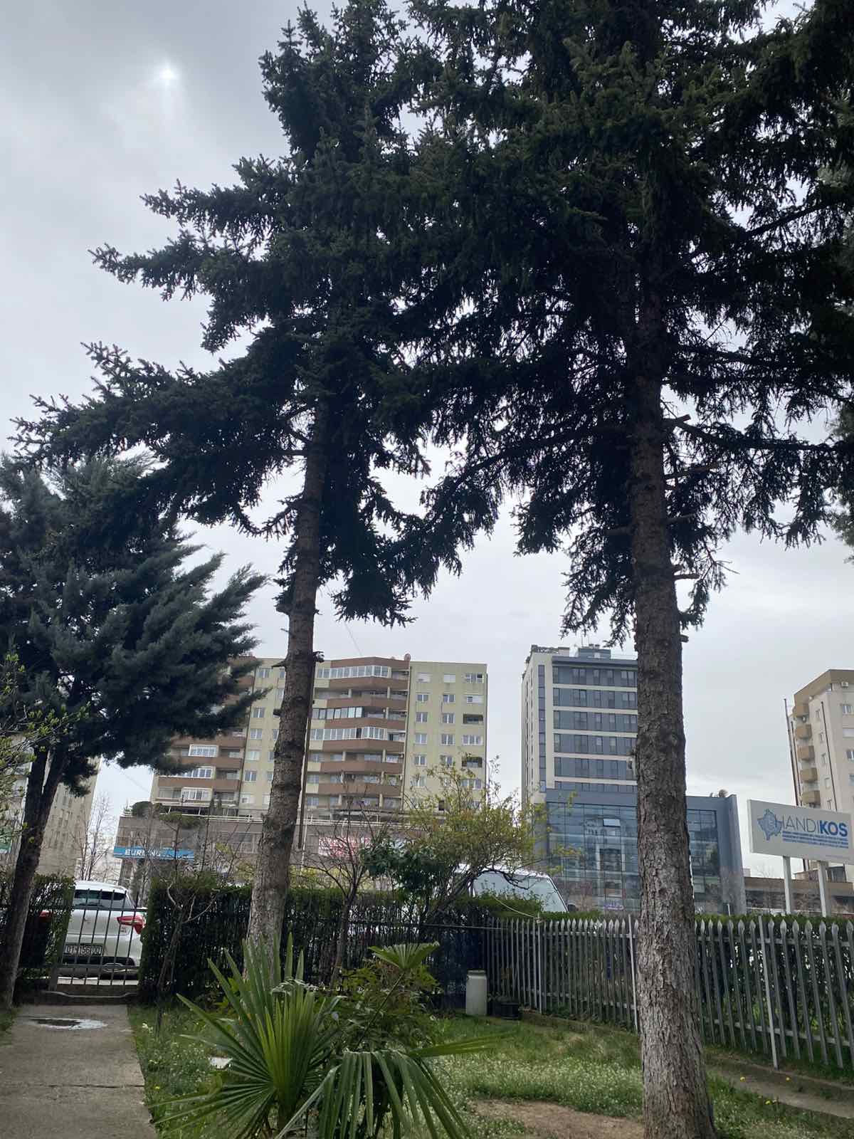 Wohnung zum verkauf in dardani