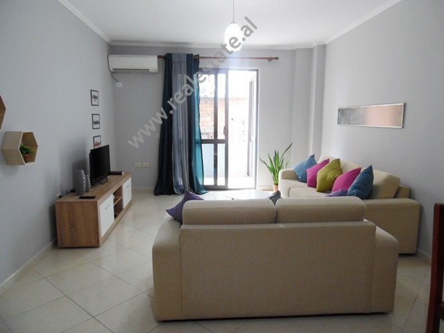 Einzimmerwohnung zur miete in him kolli straße in Tirana, albanien (trr-1017-26l) (2)
