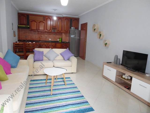 Einzimmerwohnung zur miete in him kolli straße in Tirana, albanien (trr-1017-26l) (3)