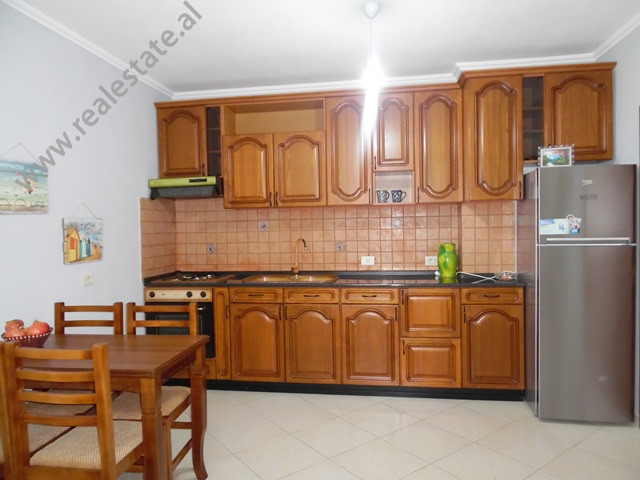 Einzimmerwohnung zur miete in him kolli straße in Tirana, albanien (trr-1017-26l) (4)
