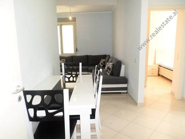One bedroom apartment for rent close to artificial lake in Tirana, albania (trr-517-30l) (2)