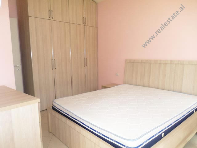 One bedroom apartment for rent close to artificial lake in Tirana, albania (trr-517-30l) (4)