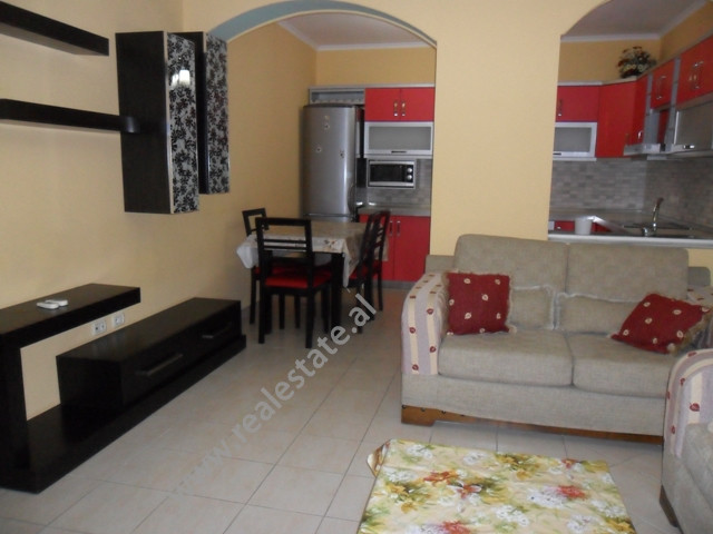 Zweizimmerwohnung zur miete in Tirana, in der nähe des zhan d ark boulevards, albanien (trr-1115-78b) (2)