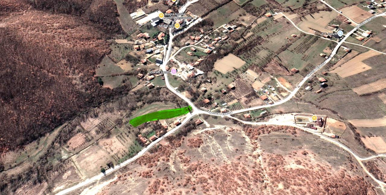 Shiten 36 ari truall në bërnicë të epërme (3)