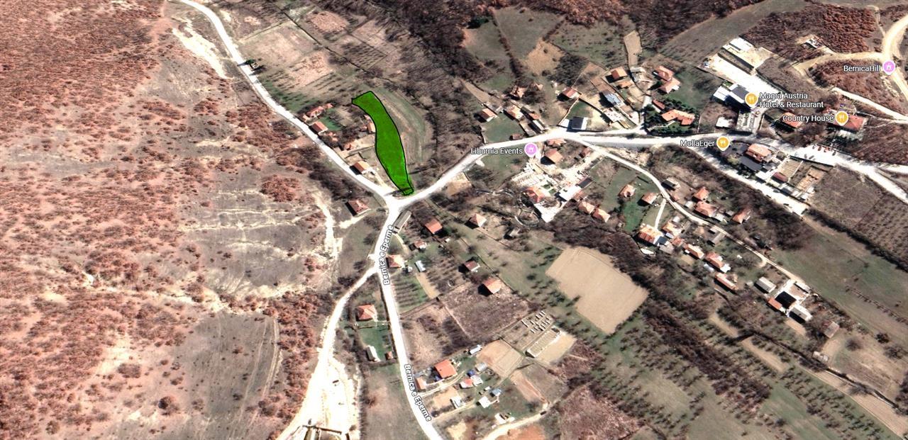 Shiten 36 ari truall në bërnicë të epërme (4)