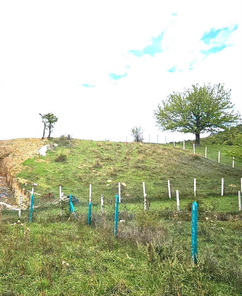 4.32 ares of land for sale in sofali near gërmisë road (4)