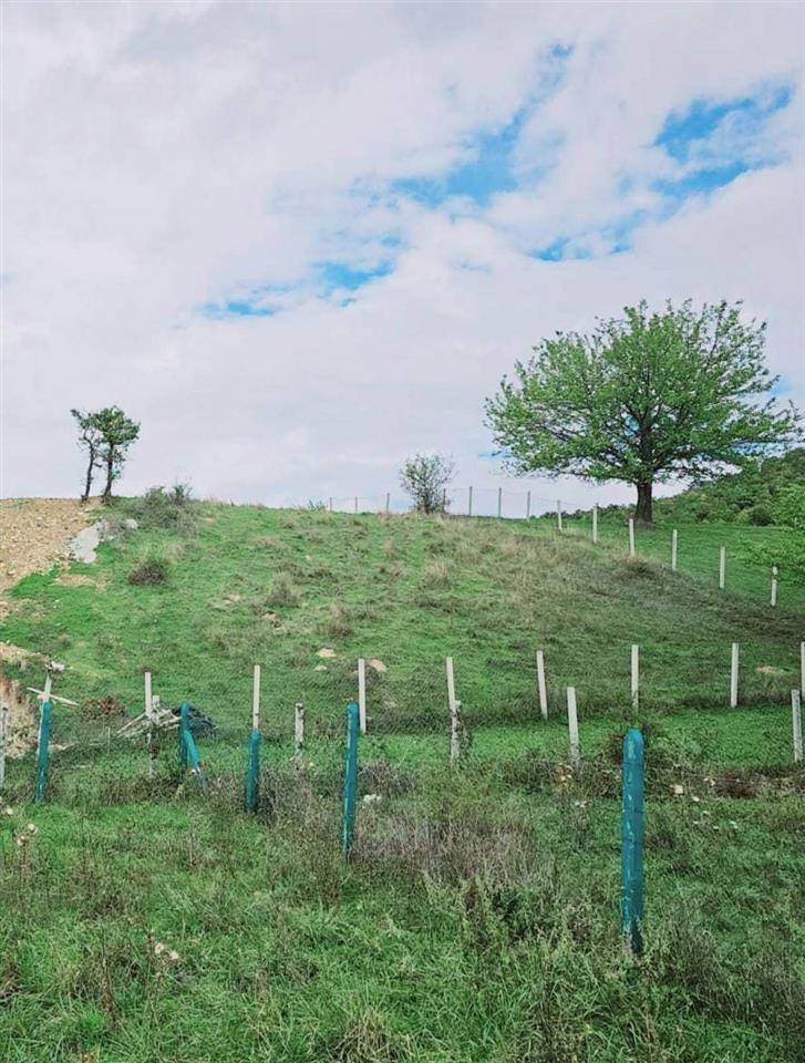 4.32 ares of land for sale in sofali near gërmisë road (7)