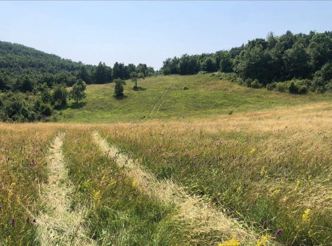 8 hectares 12 ari land for sale between brainë and nishefc