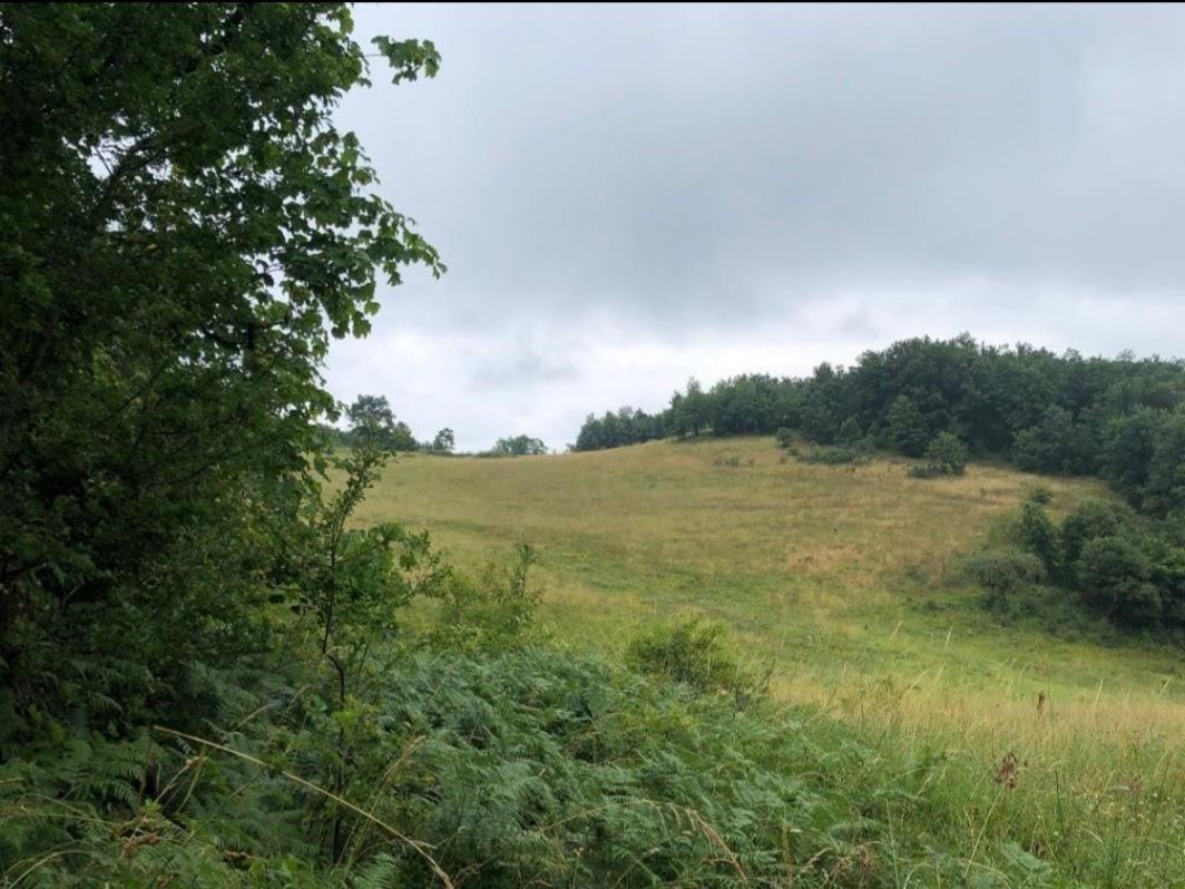 8 hectares 12 ari land for sale between brainë and nishefc (2)