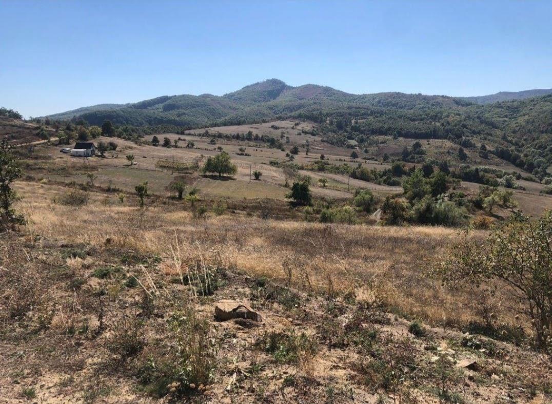 8 hectares 12 ari land for sale between brainë and nishefc (5)