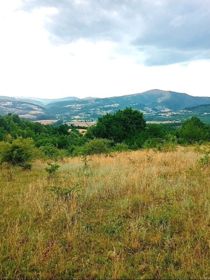 8 ha 30 ares of land for sale in kllobukarë, novobërdë municipality