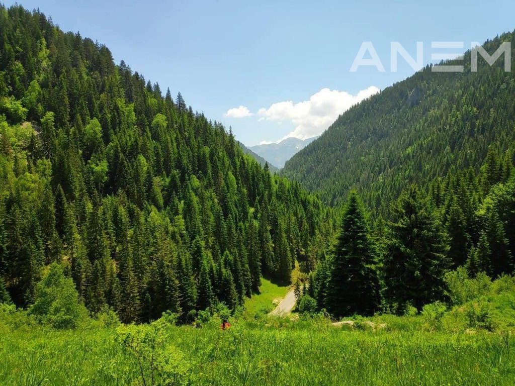 Terreno in vendita 3 ari a stankaj / Pejë