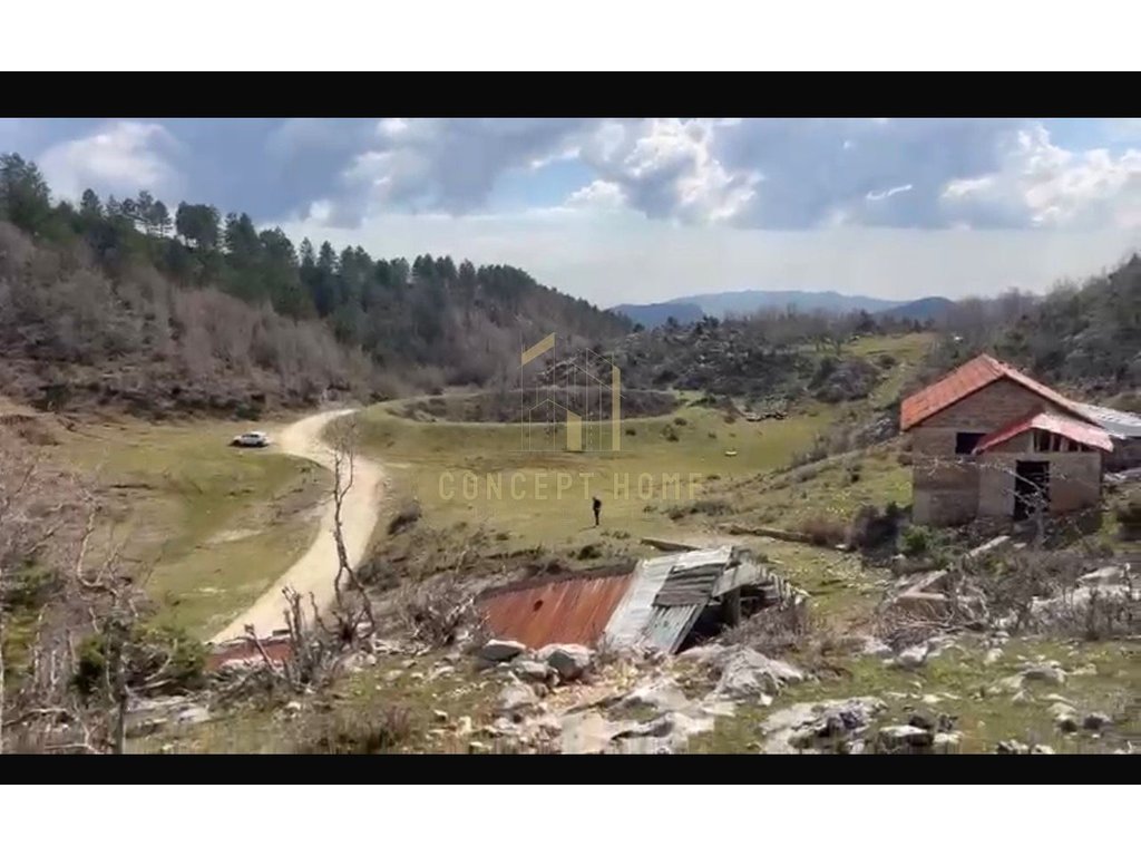 Shitet stan ,toke + shtepi e vjeter ne dajt