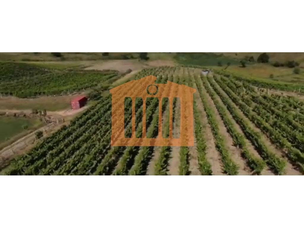 Toke in shijak, durres for sale!