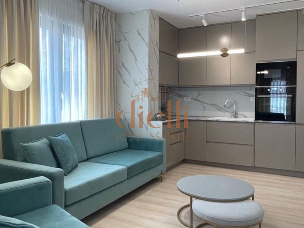 1+1 apartment for rent on zogu i pare boulevard