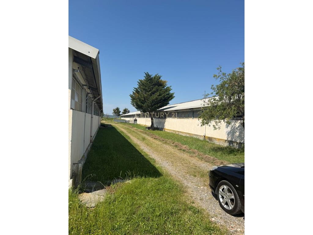 Verkauf des livestock-komplex in Shkodër!!