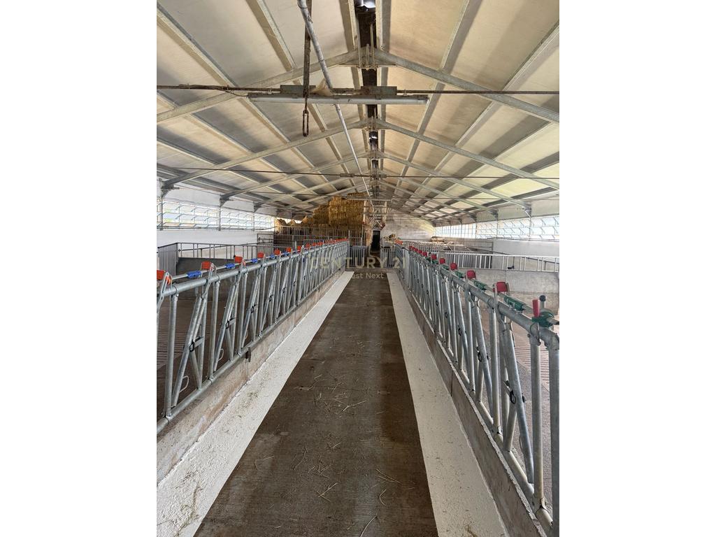 Verkauf des livestock-komplex in Shkodër!!