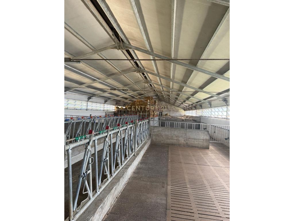 Verkauf des livestock-komplex in Shkodër!!