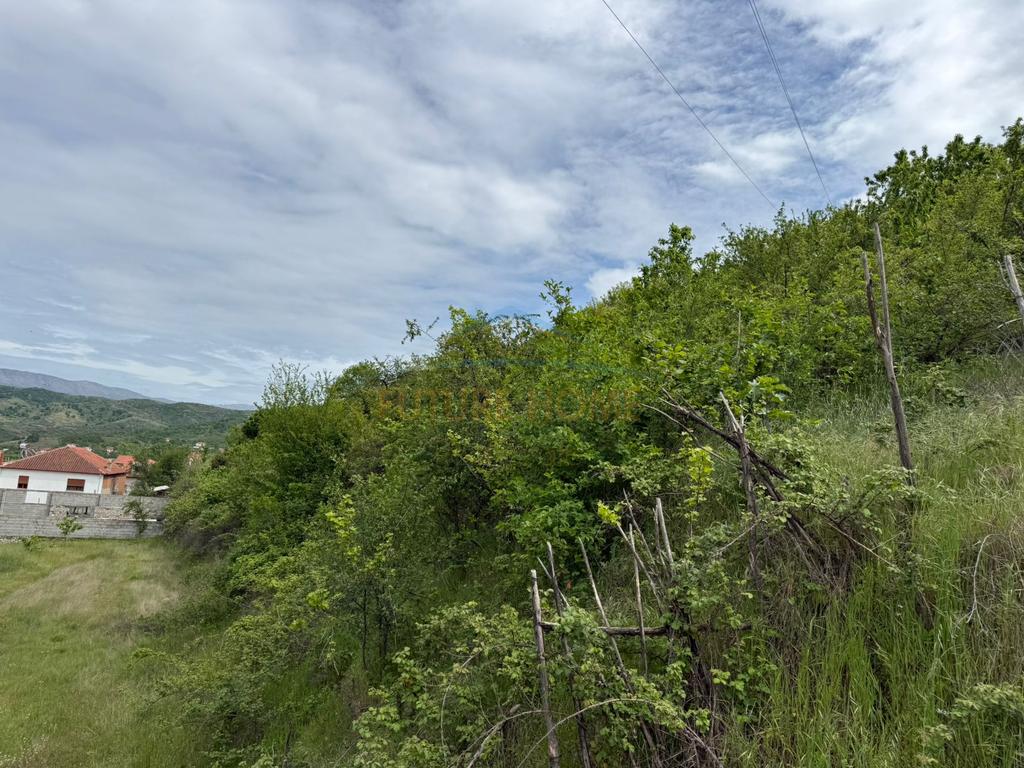 Shitet , tokë vresht , gështenjas , Pogradec