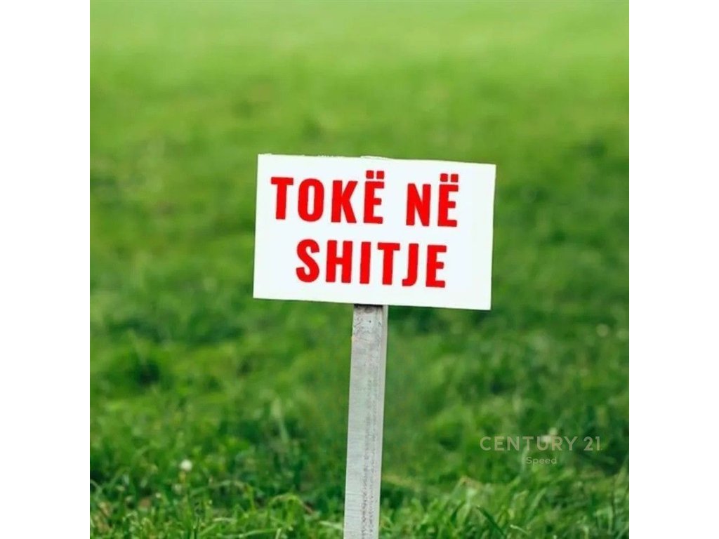 Shitet truall në prezë!!