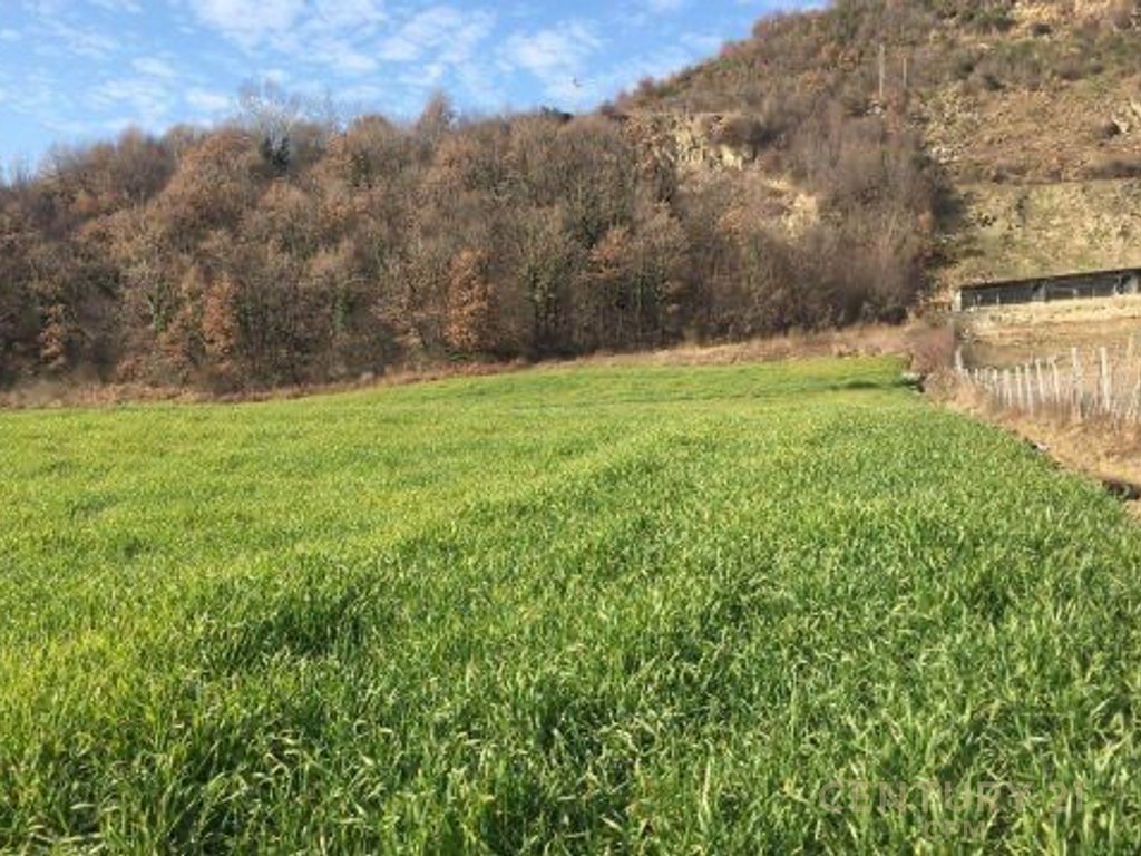 Terrain à vendre à petrelë! (5)