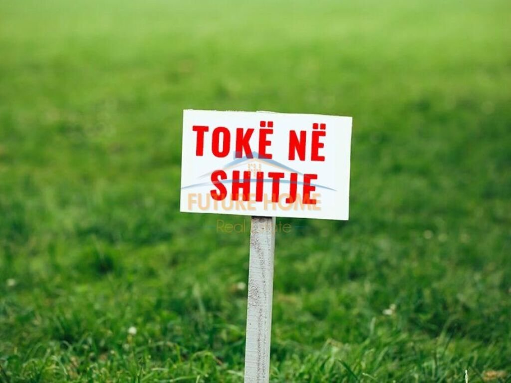 Shitet, tokë, borsh.
