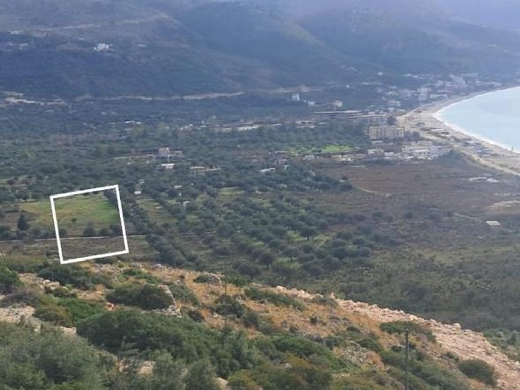 Tokë për shitje në borsh- 300.000€ | 3750 m²