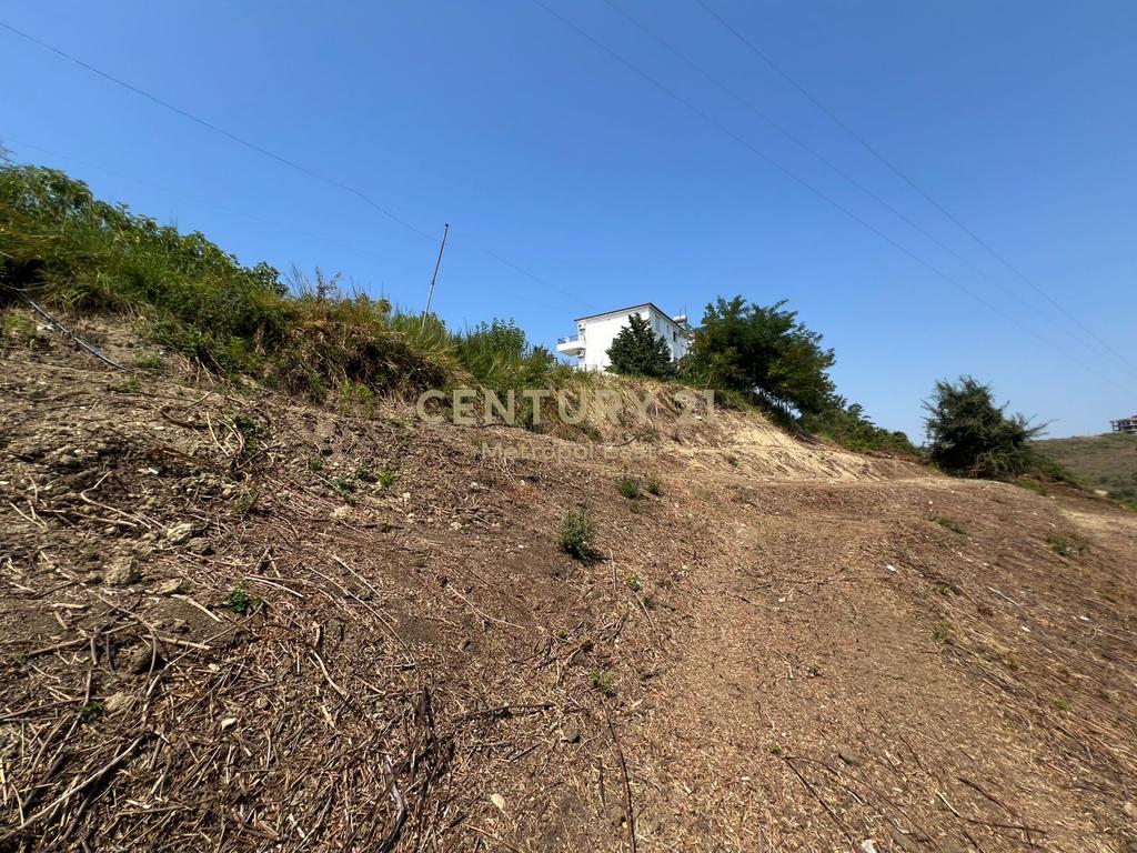 Shesim 5000 metra katror toke prane vinea resort ne shkallnur, durres!