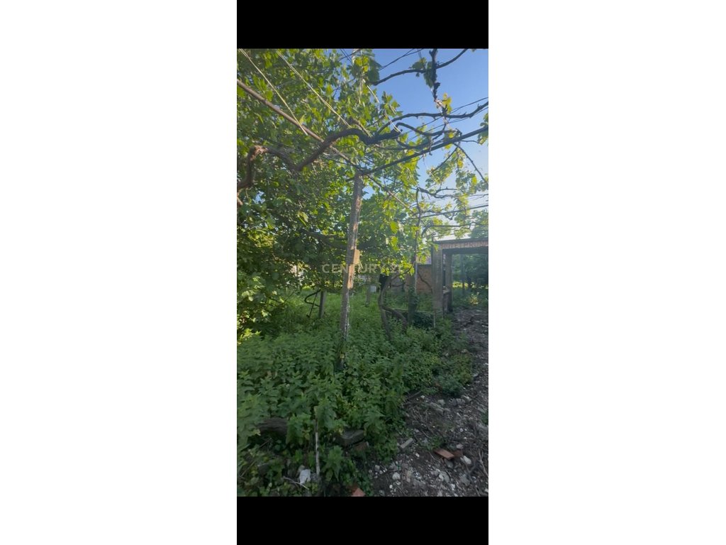 Terrain à vendre à kunë, Lezhë – En première ligne | 1500 m² | 290 000€ (7)