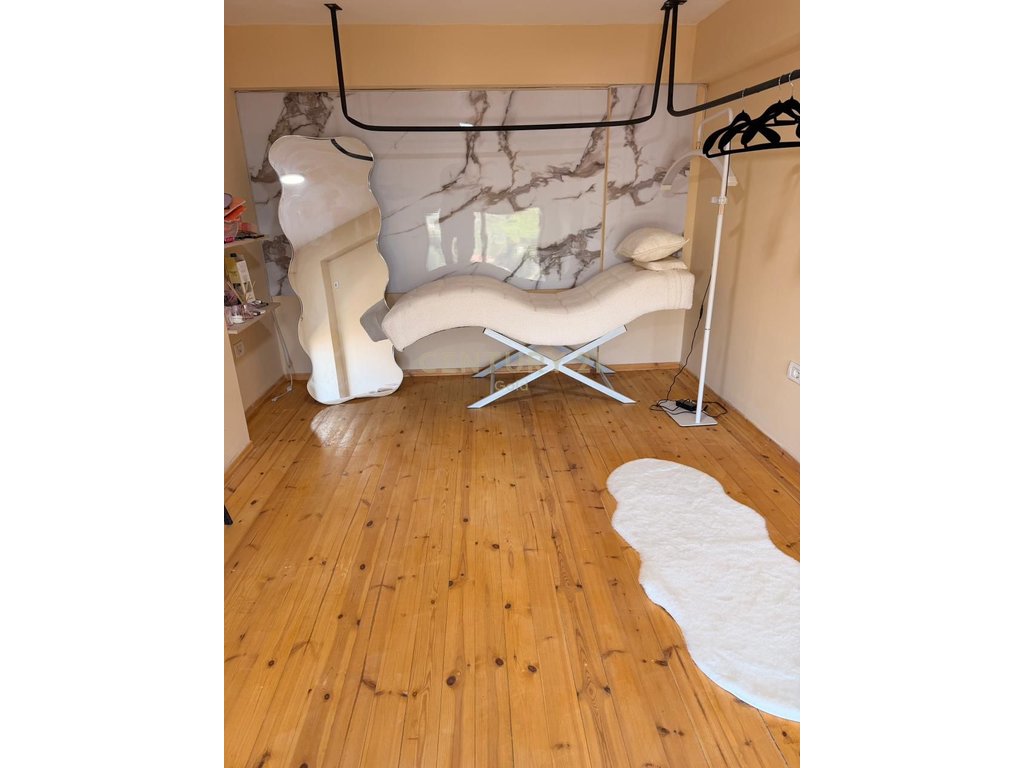 Vente de 2 unités commerciales duplex, petit jardin (7)