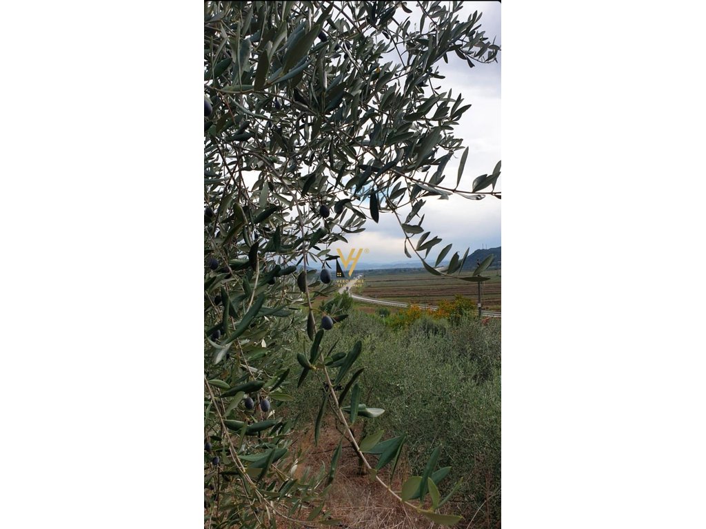 Land for sale up to 2,500 square meters in rrogozhinë 75,000 euro