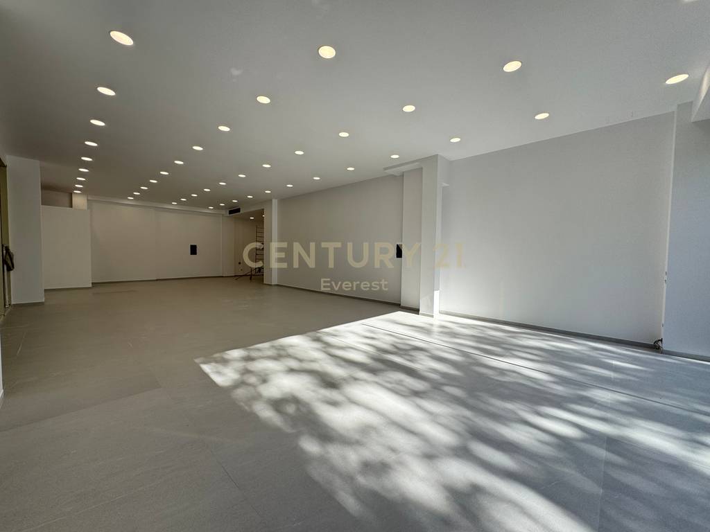 Prime commercial space for sale (4)
