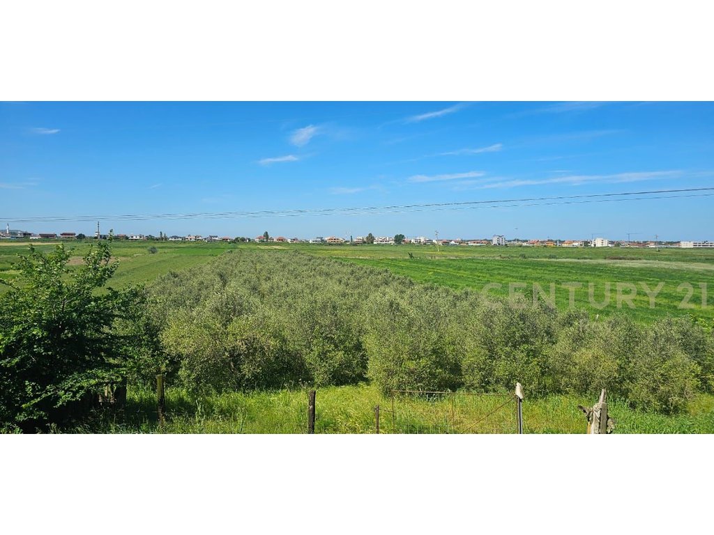 Tokë për shitje në golem, Durrës – 1810 m² mbi autostradë 240000€
