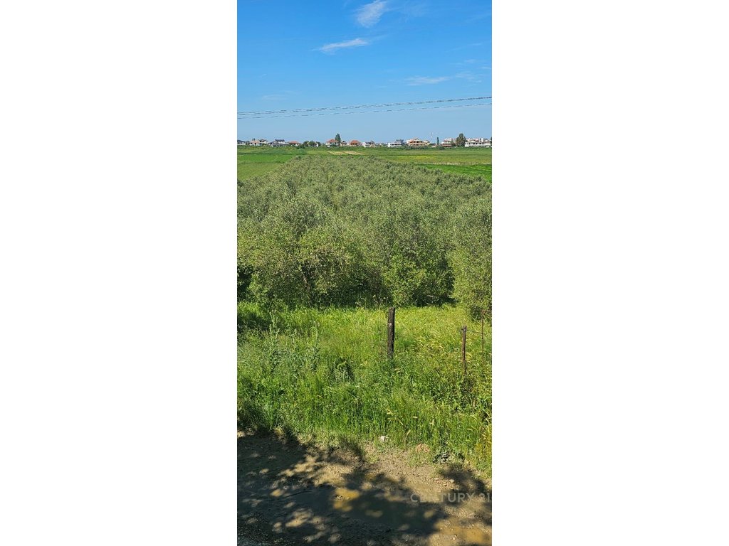 Tokë për shitje në golem, Durrës – 1810 m² mbi autostradë 240000€