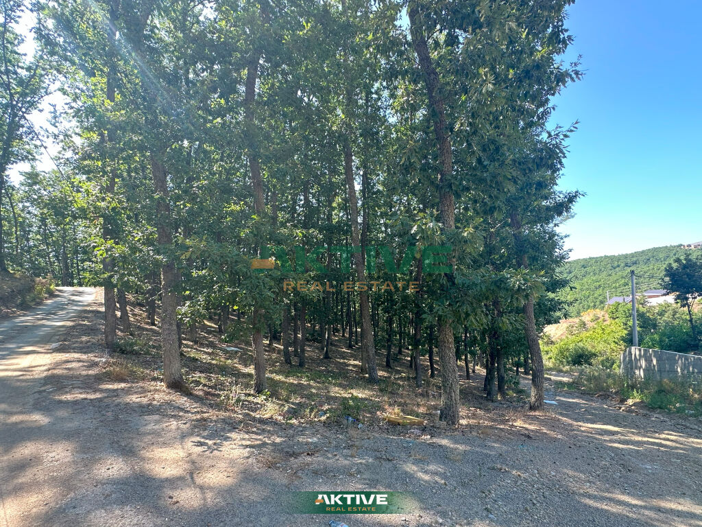 Terrain près du complexe allegro
