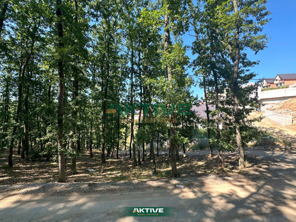 Terrain près du complexe allegro