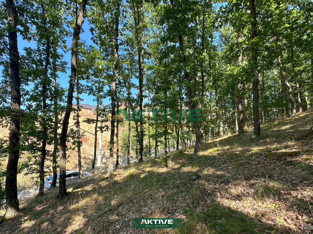 Terrain près du complexe allegro