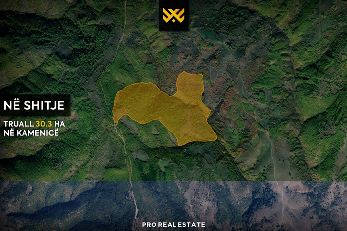 30,3 ha de terrain à #vente à Kamenicë.