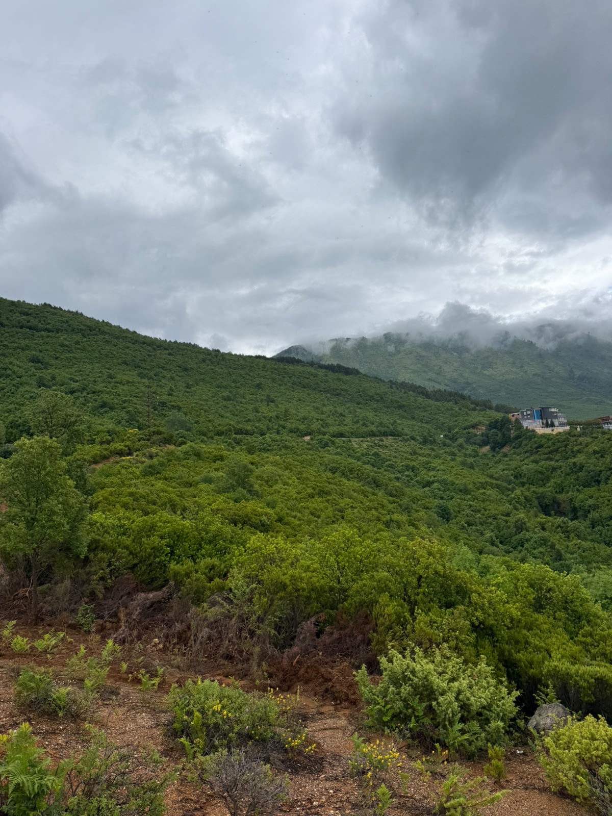 Shitet tokë në autostradën Tiranë–Durrës