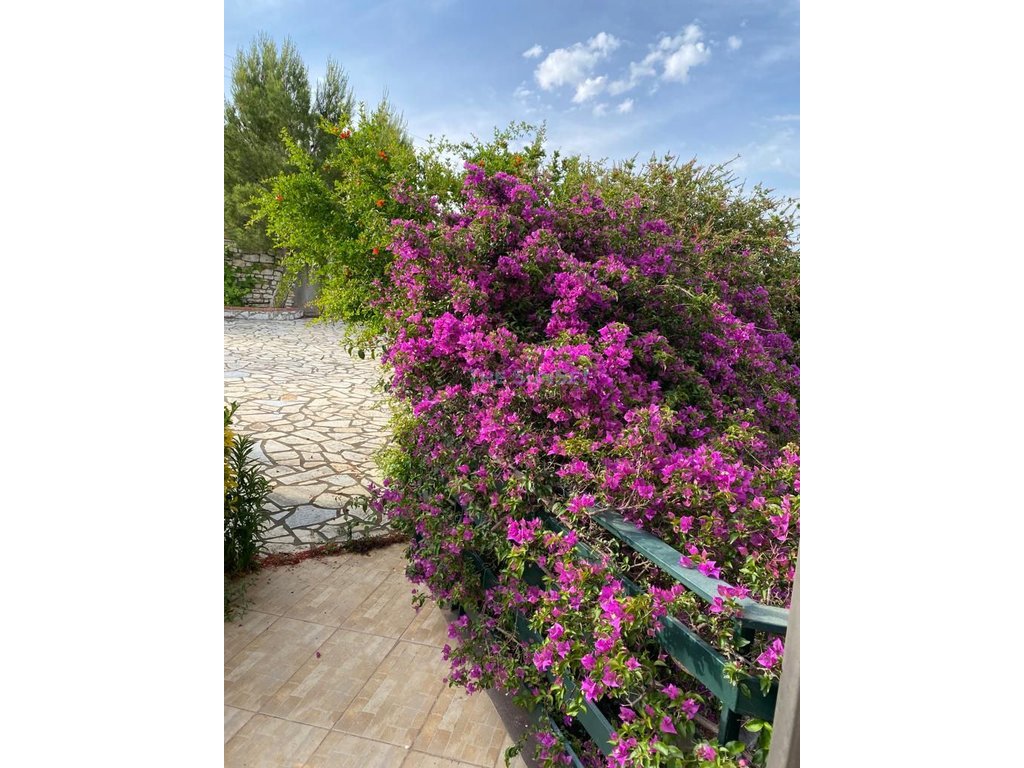 Villa de lujo en venta en qeparo
