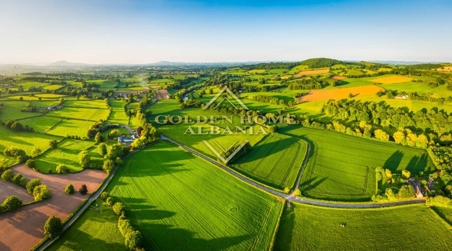 Farmland for sale in grude e re, shkoder!