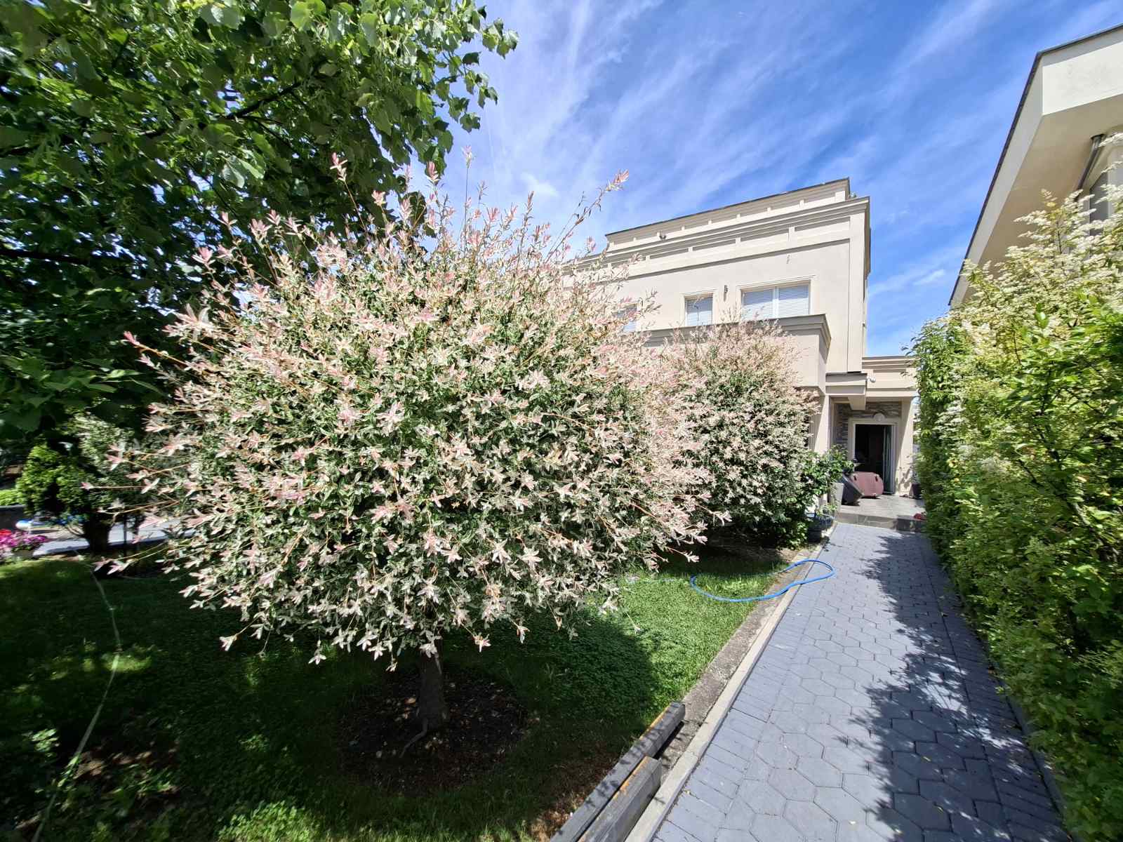 House for sale – 5.25 ares of land | dubai house area, Prishtina